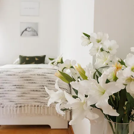 Apartment Luxury House With Pool, Garden, Ac & Sauna