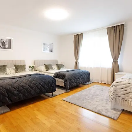 Luxury House With Pool, Garden, Ac & Sauna Apartment